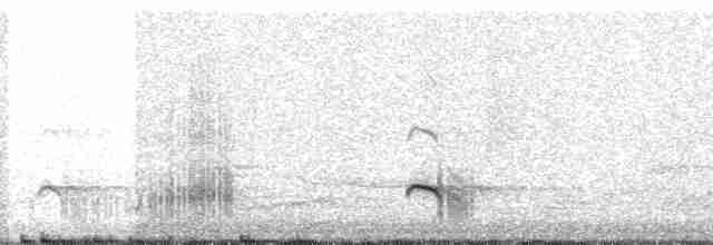 White-tailed Kite - ML20758