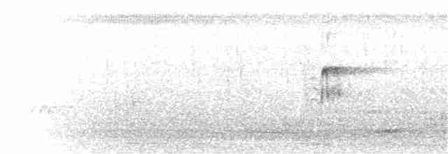 Морщинистоклювая ани - ML20768441