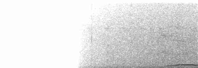 holub černobradý - ML207733621