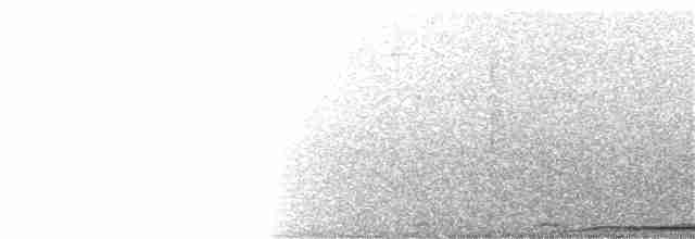 holub černobradý - ML207885681