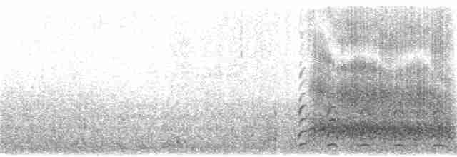 Common Gallinule (American) - ML207957131
