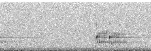 Loggerhead Shrike - ML208055241