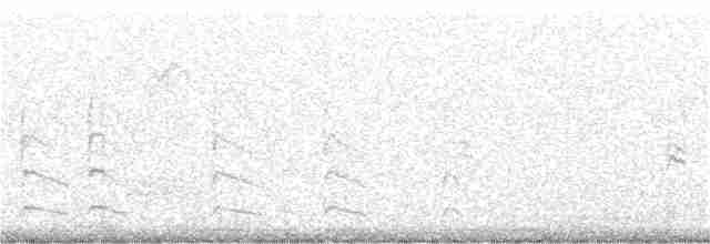 Loggerhead Shrike - ML208059741