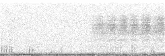Loggerhead Shrike - ML208065631