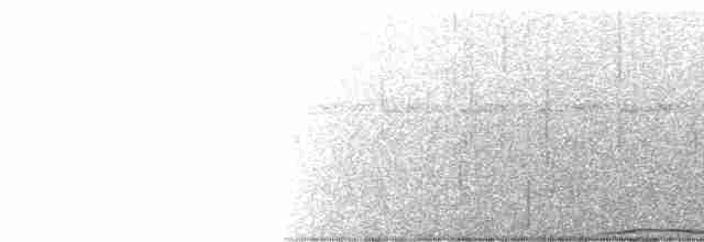 holub černobradý - ML208125481