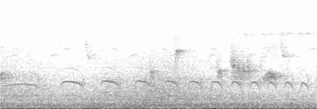 Stripe-crowned Spinetail - ML208132551