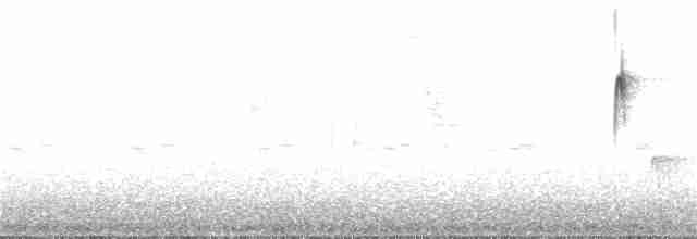 Tyranneau à toupet (subcristata/straminea) - ML208132561