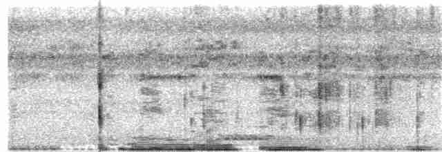 Сплюшка східноазійська (підвид modestus) - ML208141931
