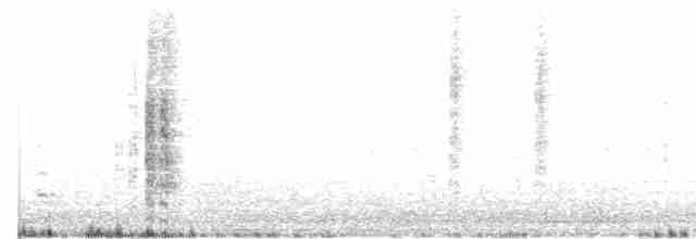 Black-browed Reed Warbler - ML208146371