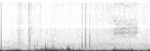 Loggerhead Shrike - ML208235021