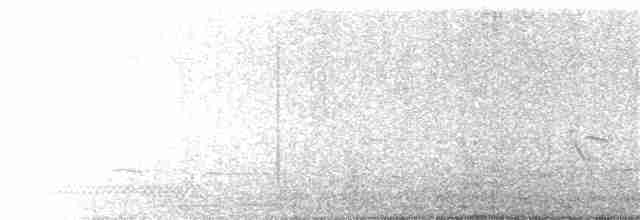 Great Reed Warbler - ML208303271