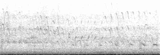 Common Gallinule - ML208391061