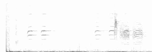 křivka bělokřídlá - ML208393721