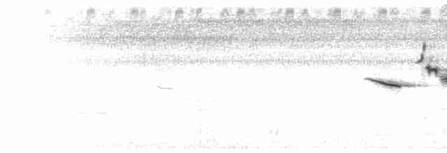 Eastern Meadowlark - ML20848221