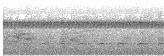 Лінивка-коротун сіроголова - ML208495951