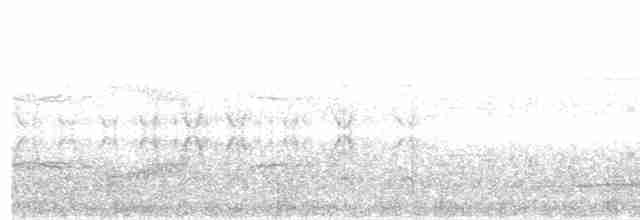 Eurasian Kestrel (Eurasian) - ML208578551