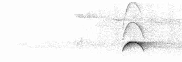 White-crested Elaenia - ML208603801