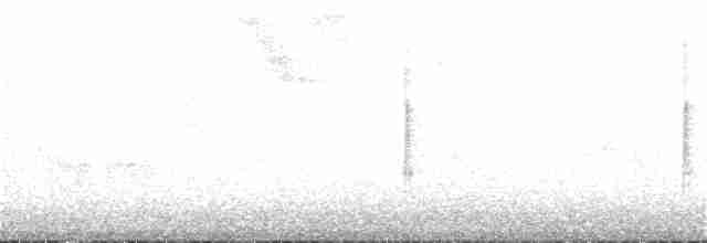 Black-crested Warbler - ML208635961