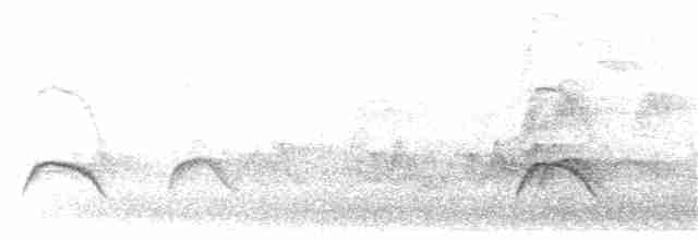 White-crested Elaenia - ML208657501
