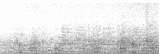 volavčík člunozobý [skupina zeledoni] - ML2087