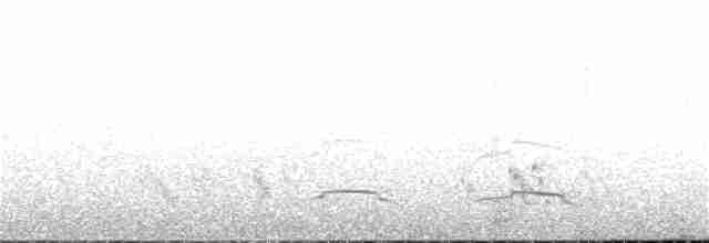 Haubenschlangenadler [cheela-Gruppe] - ML208713171