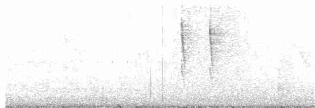 Troglodyte de Baird - ML208836271