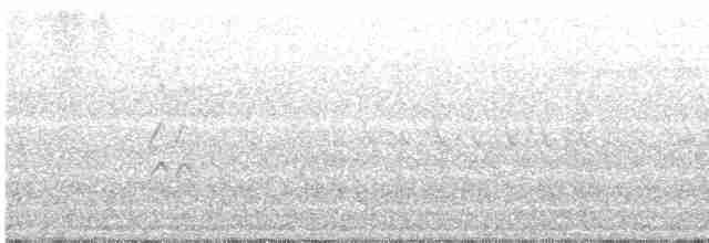 Black-tailed Godwit (islandica) - ML208867091
