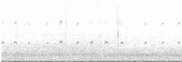 Black-tailed Godwit (islandica) - ML208871001