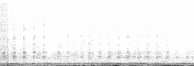 フルマカモメ（glacialis／auduboni） - ML208871631