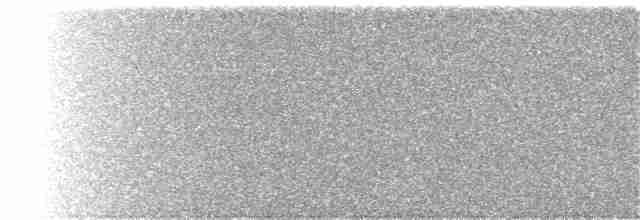 Ornate Tinamou - ML209006791