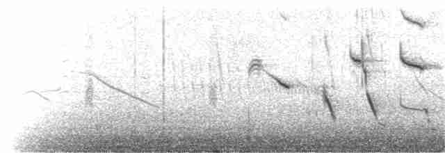 Peruvian Meadowlark - ML209008581
