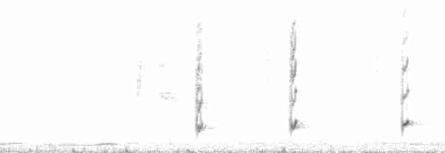 Şerit Karınlı Çıtkuşu - ML20922