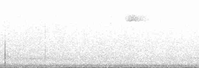 Пестрогрудый лесовик - ML209253