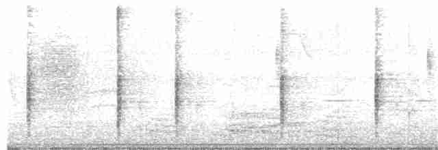 Clamorous Reed Warbler - ML209260601
