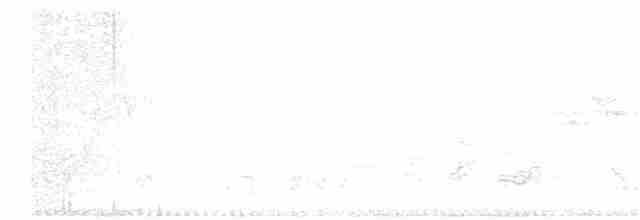 White-hooded Babbler - ML209272141