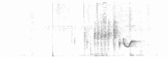 Баблер болотяний - ML209280241