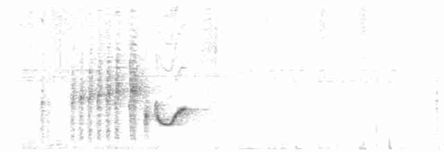Баблер болотяний - ML209280251