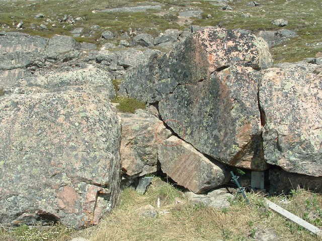 Nest site among boulders. - Northern Wheatear (Greenland) - 