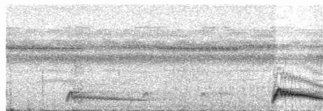 Augennachtschwalbe - ML209300901