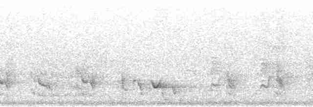 Sphécothère de Vieillot - ML209386