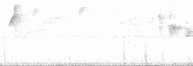 Mérulaxe argenté (argentifrons) - ML209412