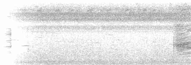 Loggerhead Shrike - ML20942931