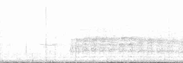 Желудёвый дятел [группа formicivorus] - ML209435