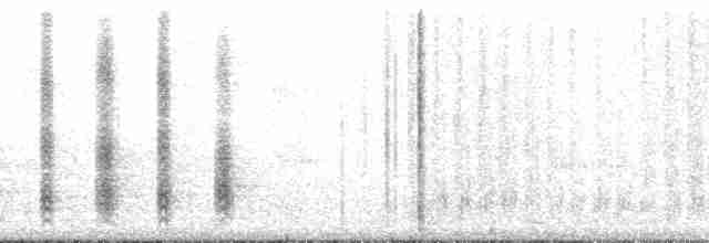Palamut Ağaçkakanı [formicivorus grubu] - ML209444