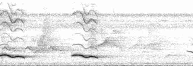 Желтоклювый кассик (holosericeus/flavirostris) - ML209479