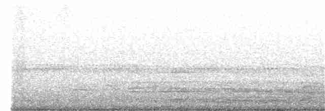 Pauraquenachtschwalbe - ML209556251