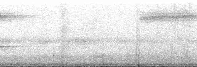 キタツグミマイコドリ（veraepacis グループ） - ML209789