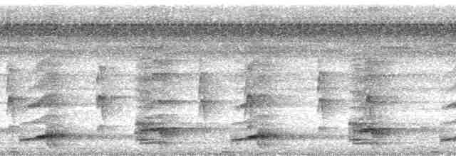 gråhalsrikse (cajaneus) - ML209819