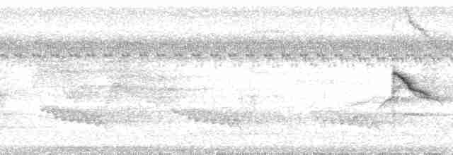 Зерноїд вороний [група ophthalmica] - ML209882