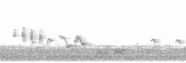 Пронурок сірий - ML209921871